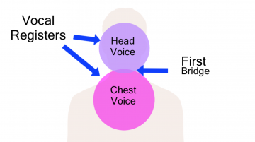 Mixed voice and the parts of your voice